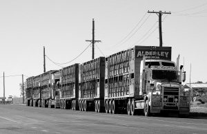 road-train-1021563_1280