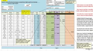 Report ricezione prodotto con ident. tipologia